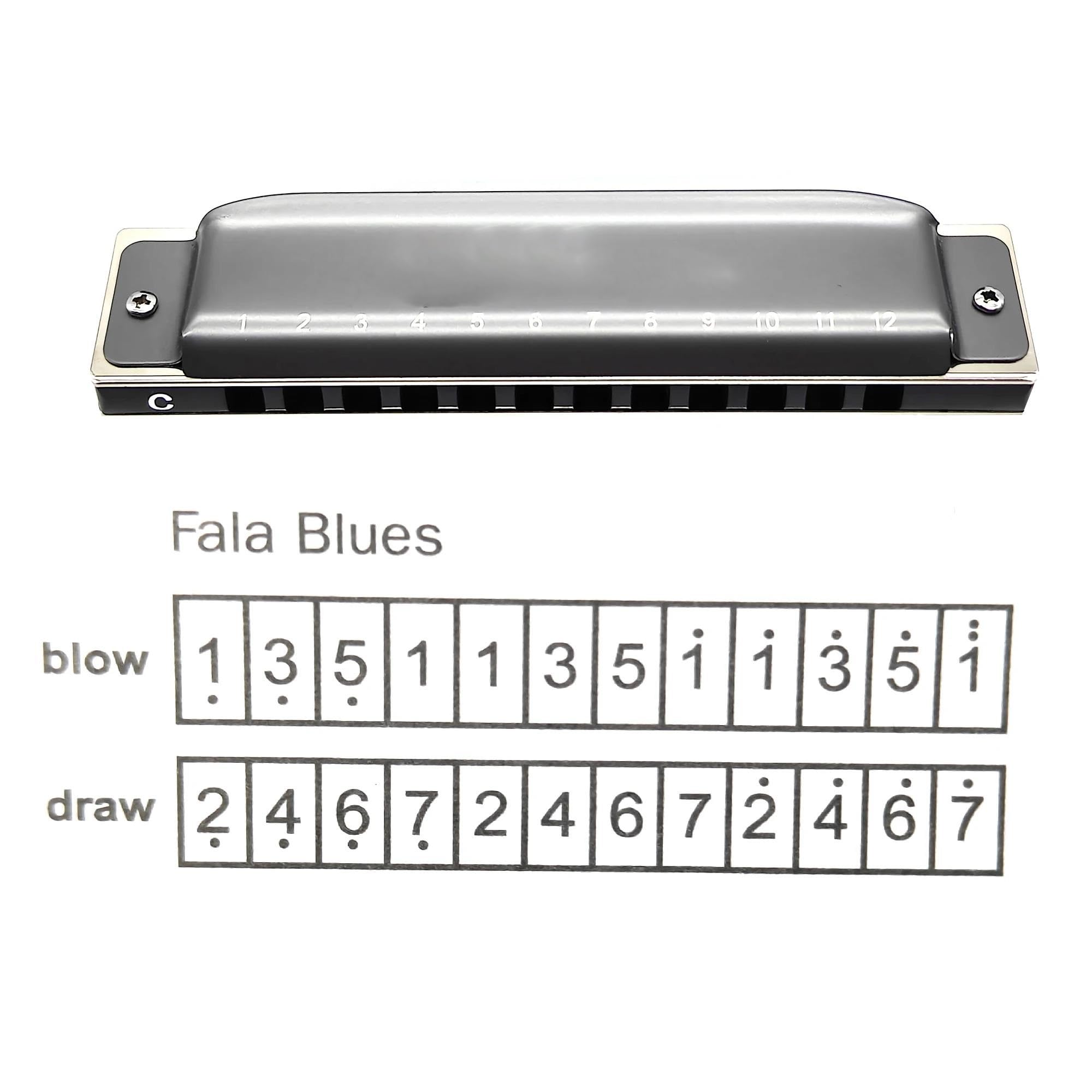 Harmonica Harmonica Clé C Diatonique Professionnelle 12 Trous | Harmonica 12 trous, Harmonica diatonique professionnel, clé C, peigne en aluminium, orgue buccal(Gray)