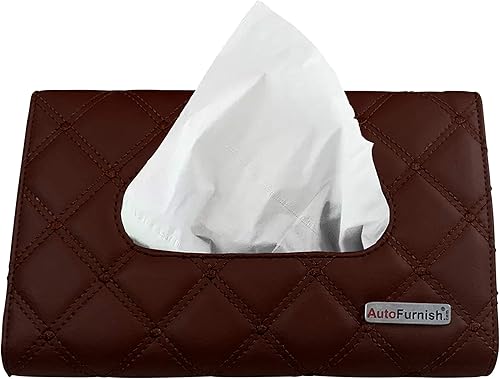 AutoFurnish Soporte para pañuelos de coche 7D, organizador para accesorios de automóvil, decoración esencial para el automóvil, organizador de