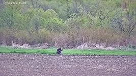 Review Image by TJG TJG