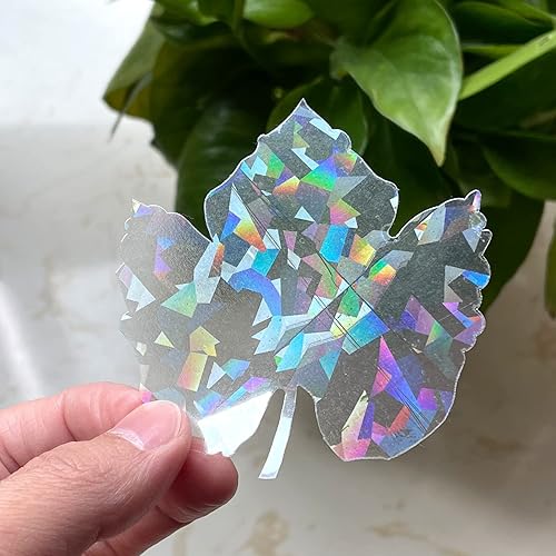 Calcomanías holográficas para ventana para ataques de pájaros, recordatorio de vidrio, calcomanías autoadhesivas anticolisión, evita que los pájaros