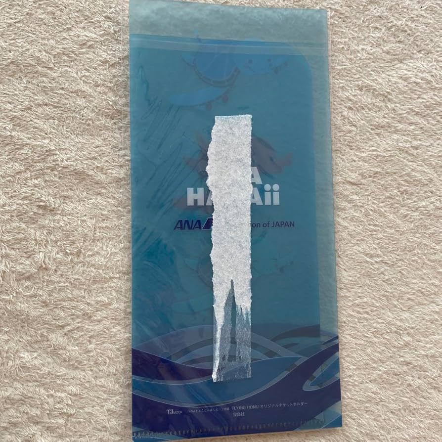 全日空　チケットホルダー 全日空チケットホルダー