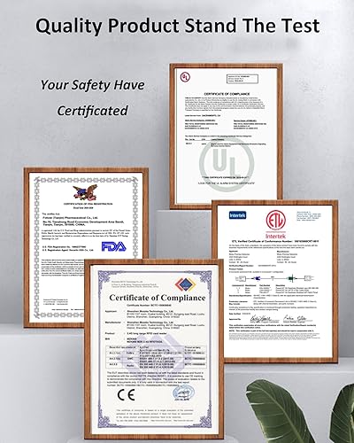 Vista 17 de Batidora de batidos real de 900 W para batidos y batidos, juego de licuadora personal 7 en 1, Alemania 3D de acero inoxidable 6 hojas para batido