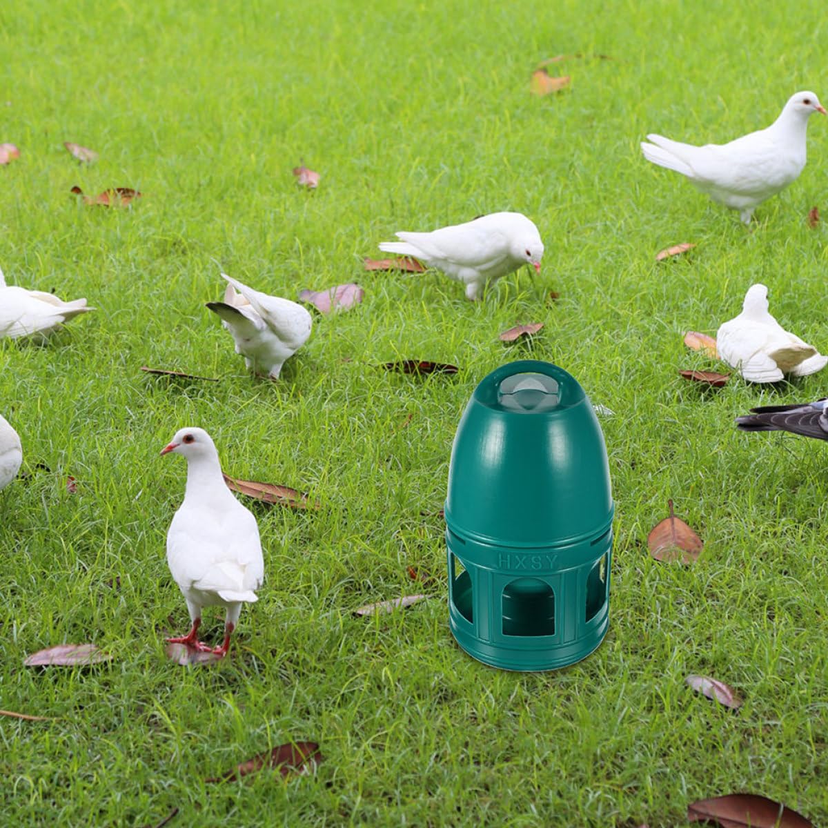 10l Taubentränke aus Kunststoff, Grün, Rund, Abnehmbar | Vogeltränke für Vogel und Taube, Leicht zu Reinigen, für Zoofachhandel und Familien