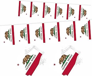 2 Packs California Mini Flag Banner String Calif.CA Small Miniature Hanging Flags Decorations,60 Feet 40 Flags
