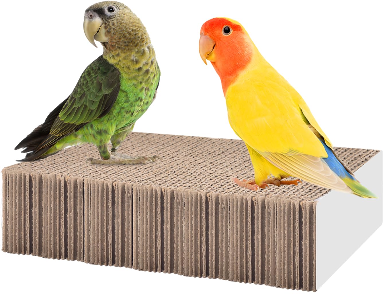 KATUMO Parrot Toys, 7 Inch Conure Shredder Foraging Toys Bird Perch Stand Cardboard Cockatiel Chew Toys for Parakeet Canary Conure Mynah Small Parrots