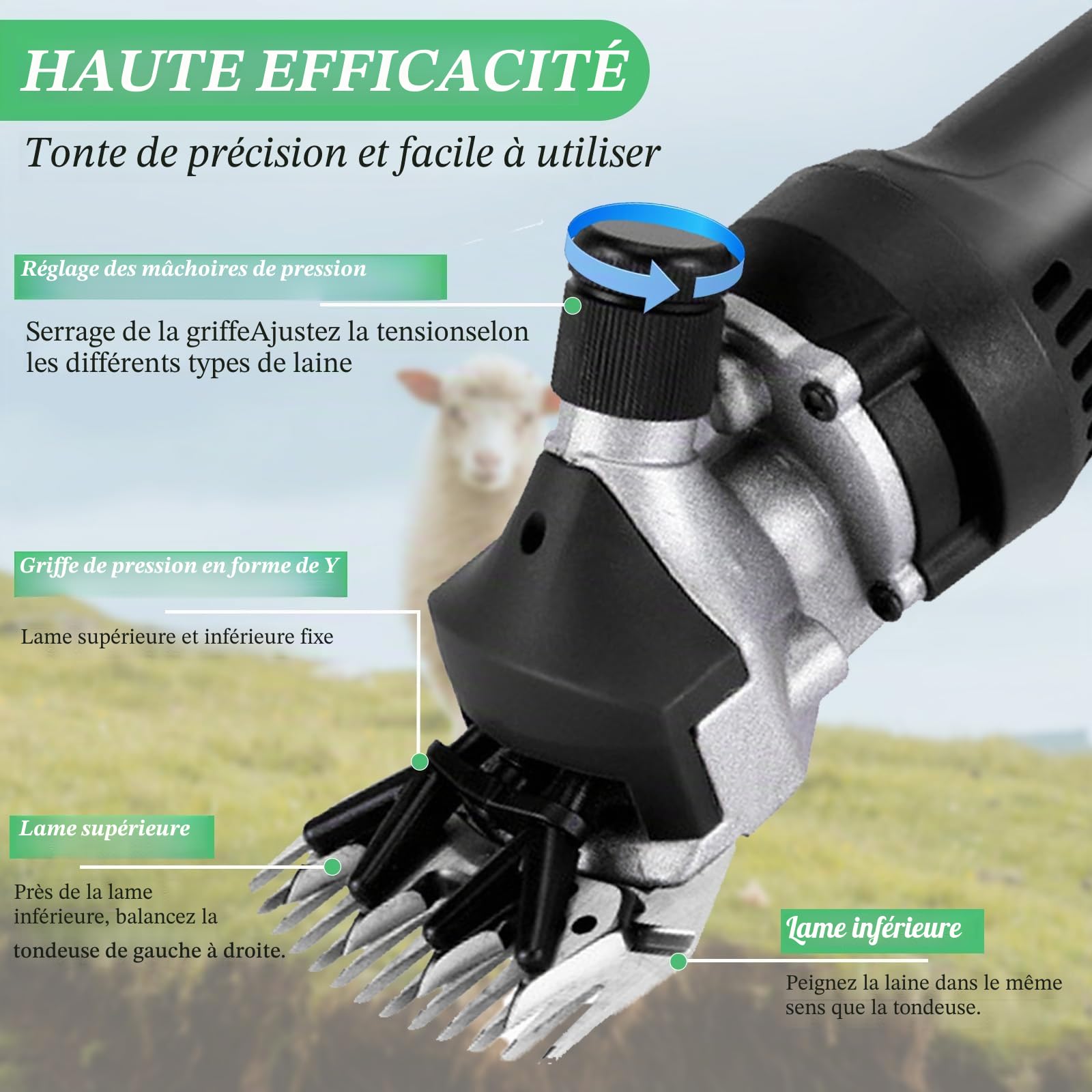 900w Tondeuse à Mouton Électriques, Tondeuse à Moutons Machine avec 6 Vitesses Réglables, 2800rpm, Tondeuse Mouton Professionnelle pour Moutons, Alpagas et Chèvres, avec Étui de Transport