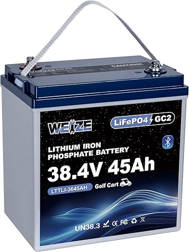 Miniatura 12 de WEIZE Batería LiFePO4 de doble propósito de 12V 60AH 800CCA, batería de litio de arranque del grupo 24 más rendimiento de ciclo profundo, BMS