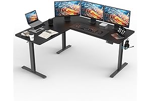 Ergonomic 63 * 55 inch L Shaped Electric Standing Desk for Optimal Inbox Zero Workflow