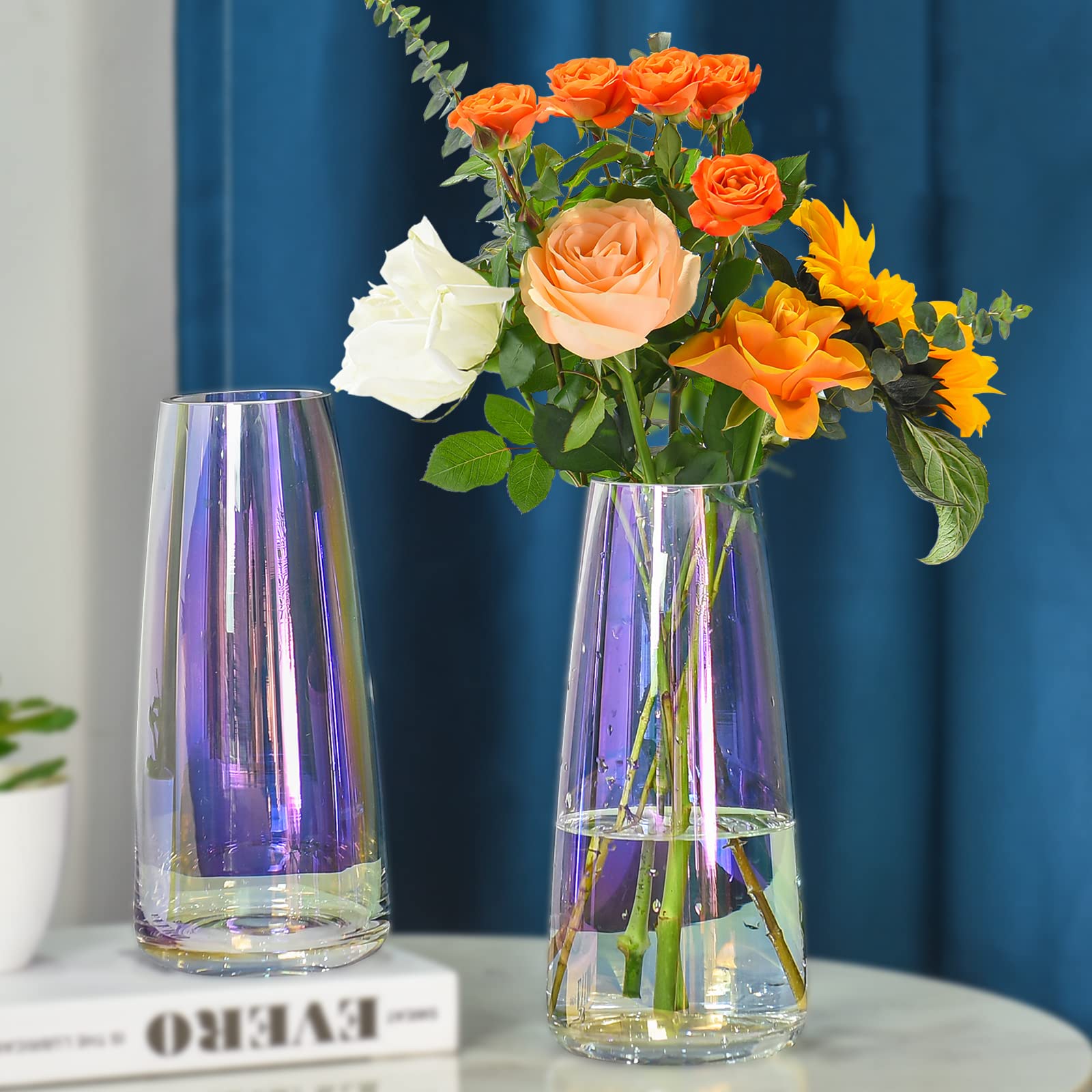 虹色のガラス花瓶 Amazon.co.jp: 丸型 ガラス 花瓶 21cm ヨーロピアンスタイル