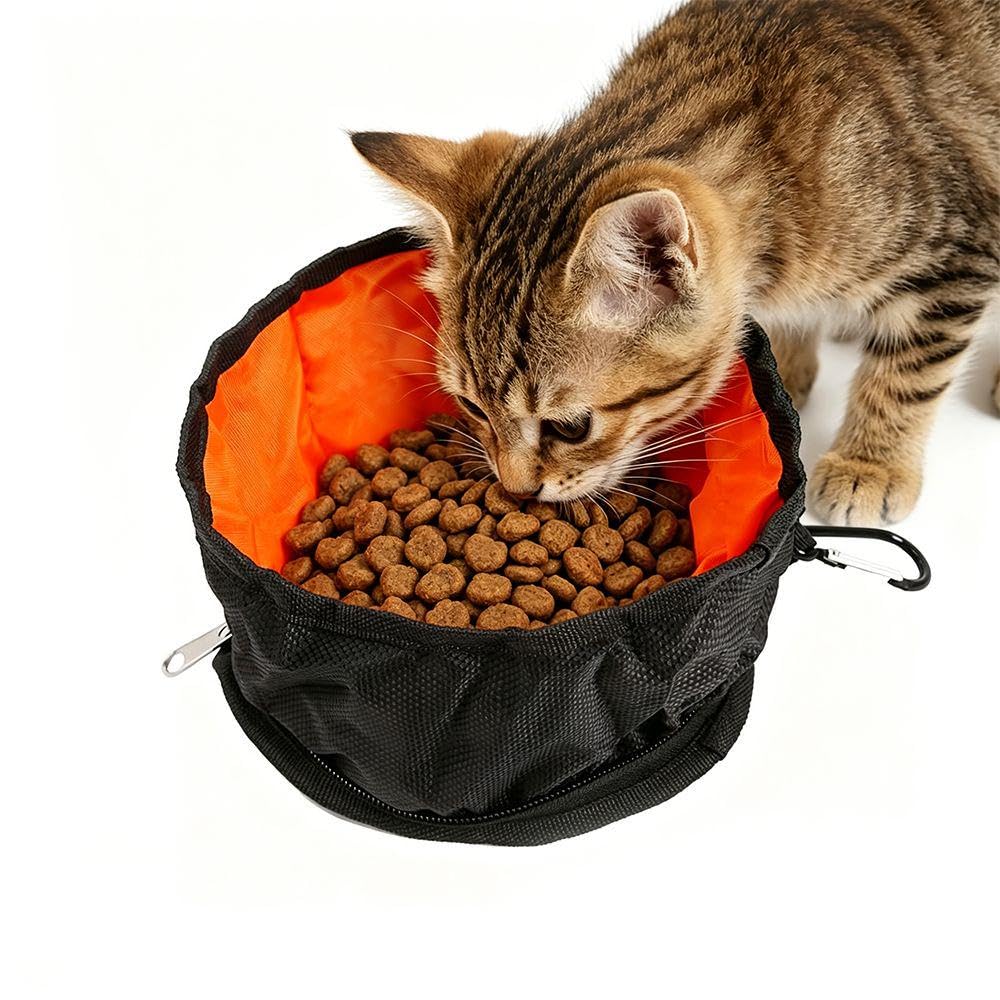 Collapsible Dog Travel Bowls Foldable Lightweight Water Food Bowl for Dogs Cats with Zipper and Carabiner Clip Portable Pet Bowl