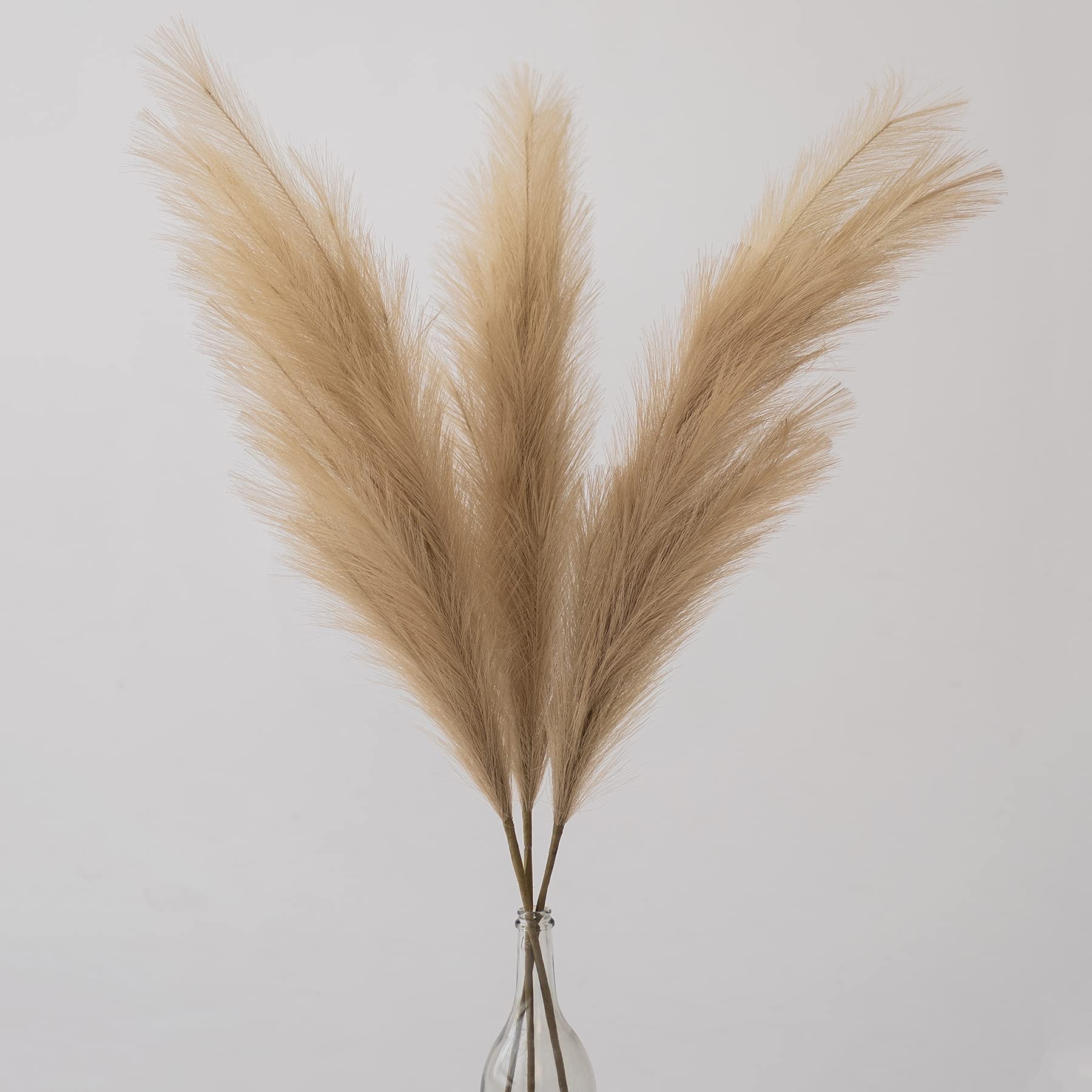 Buy ChagoArtBrown Pampas Grass Decor TallFaux Pampas Grass Small3