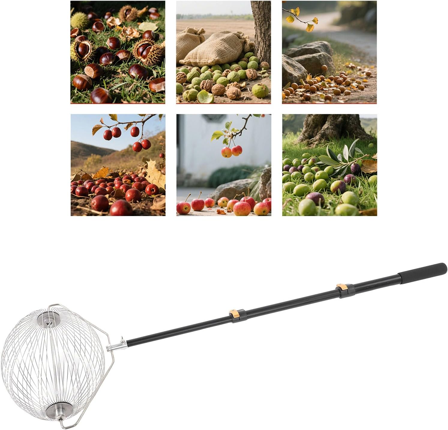 HEEPDD Nut Gatherer, Picks Functional Nut Collector with Telescopic Rod for Picking Acorns, Walnuts, Pecans in Orchards Gatherer, Stainless Steel Picker, Multi Nan Gardening