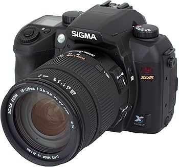 Amazon | シグマ デジタル一眼レフカメラ SD15&18-125 OS レンズ
