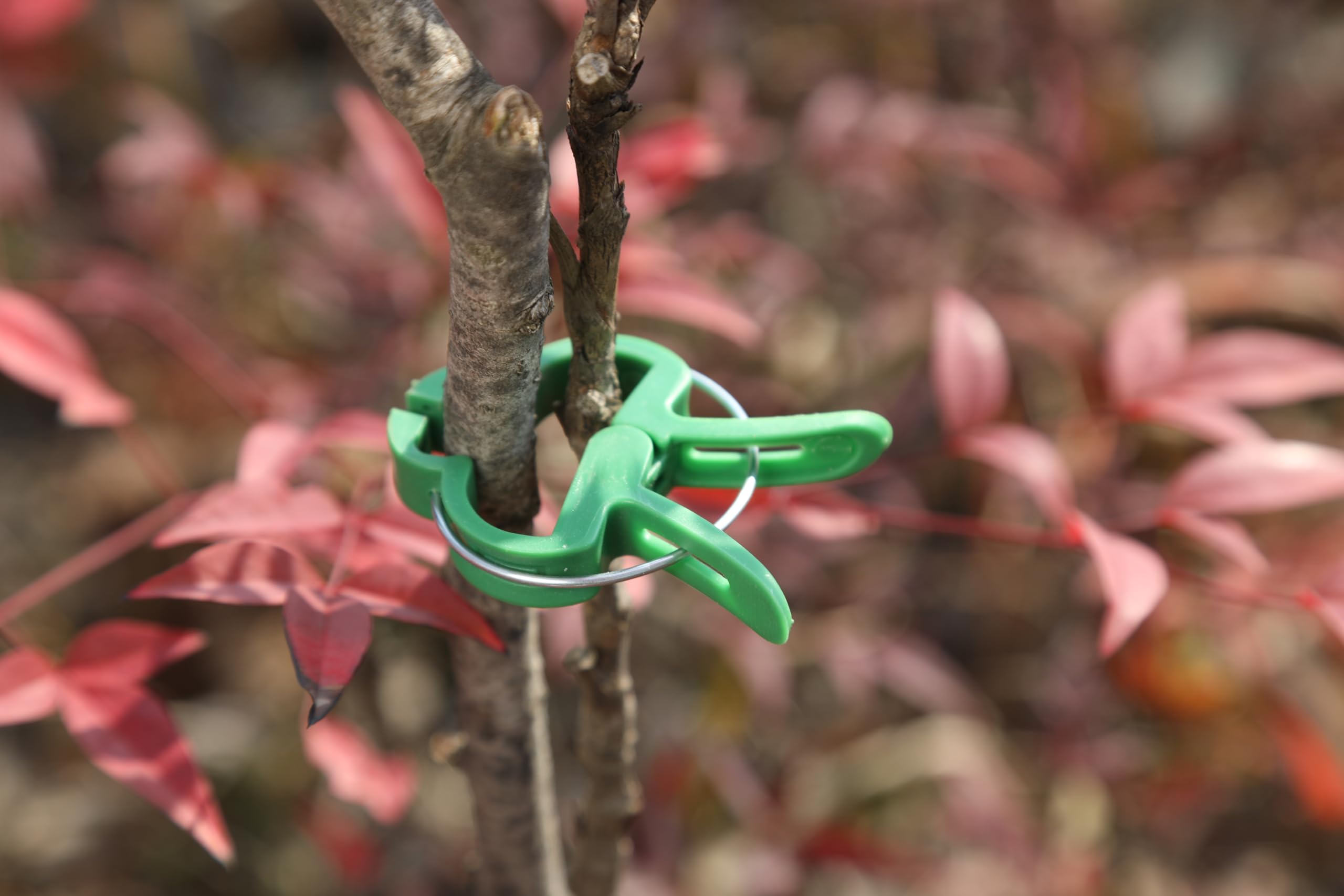 Graticcio per Piante Rampicanti Sostegno Traliccio per rose da giardino esterno per interni, Gabbia per giardino - Gabbia di supporto per piante regolabile, cetriolo, traliccio per piante rampicanti