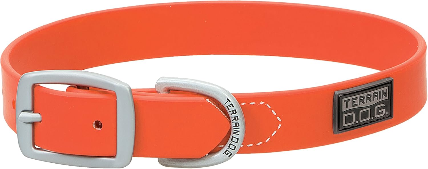 Terrain D.O.G. Brahma Webb Dog Collar