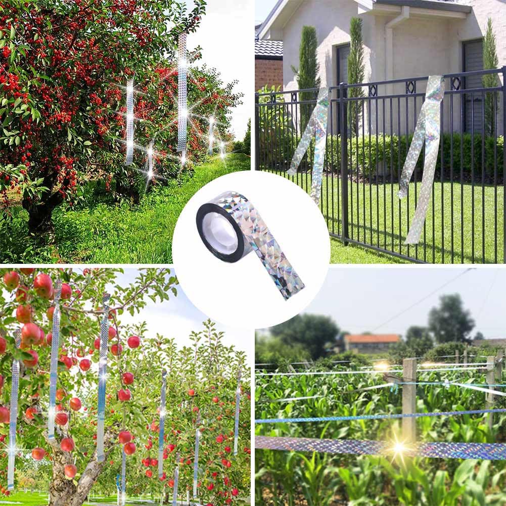 Homo Trends Lot De 6 Pics Anti-pigeons, Pour Clôture, Répulsifs Pour Oiseaux, Pigeons, Chats, Pies, écureuils, Mouettes, Pour Jardin, Toits, Balcon