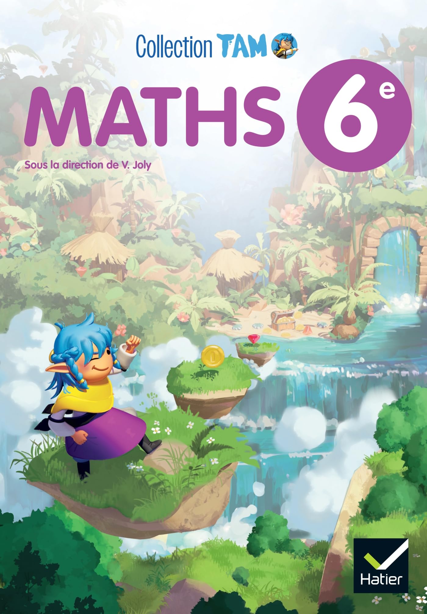 Maths 6e TAM