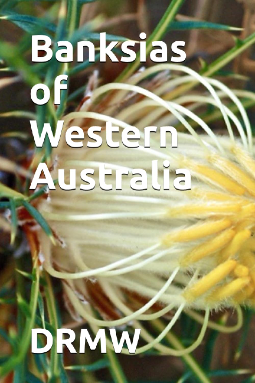 Banksias of Western Australia