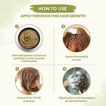 INDUS VALLEY Bio Organic 100% Natural Amla Indian Gooseberry Fruit Powder for Hair Growth, Skin, Indian Gooseberry | Non-GMO | Non-Irradiated | No-Preservatives, 0.22 oz