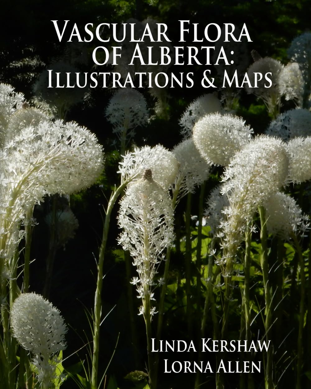 Vascular Flora of Alberta: Illustrations and Maps