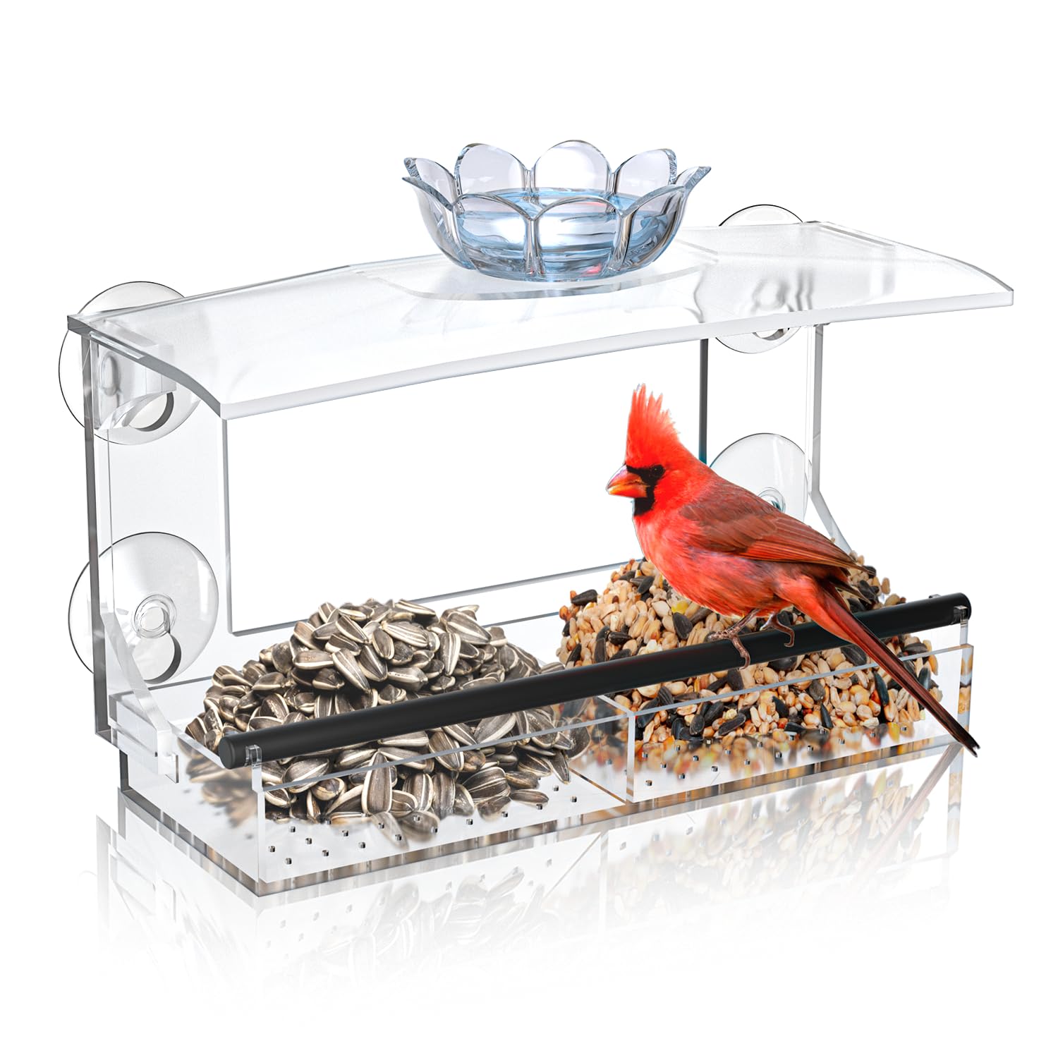 DY-SKTY Clear Acrylic Window Bird Feeder