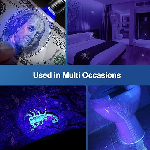 Miniatura 3 de Morpilot Linternas de luz negra Linterna de luz negra Mini 395nm linterna UV, luz detector de orina de mascotas para perrogato, manchas secas,