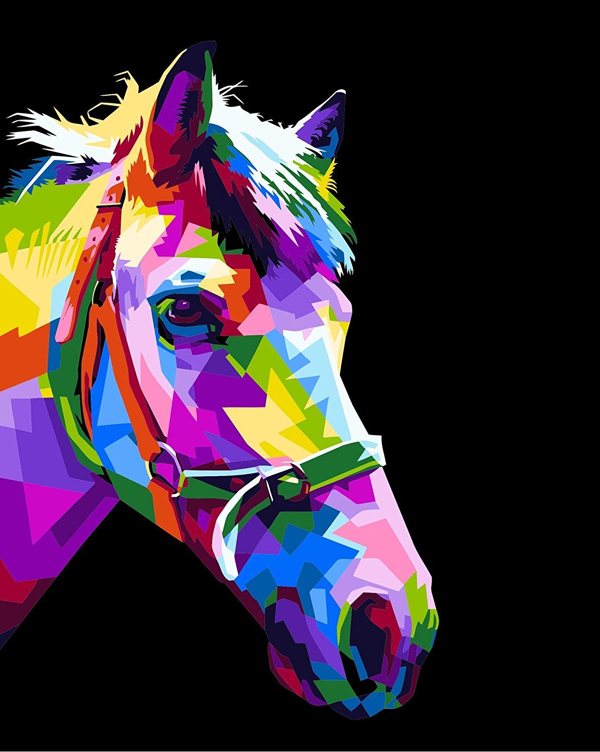 Paint by Numbers for Adults by BANLANA, DIY Adult Paint by Number Kits for Beginners on Canvas Rolled 16" by 20" (Colorful Horse)