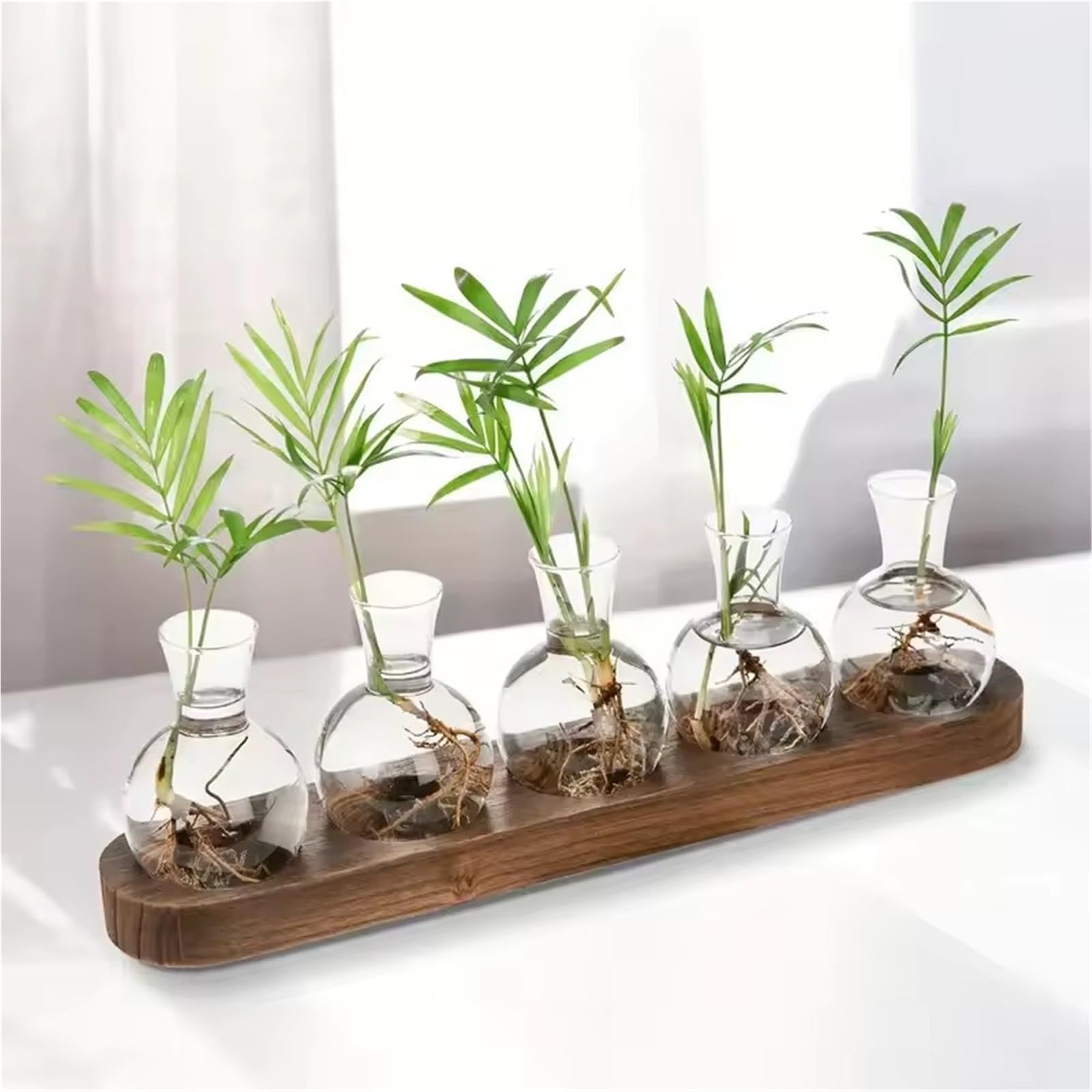 Vase Hydroponique Verre Terrarium en Verre for Plantes avec Plateau Bois – for Vase hydroponique de Propagation intérieur, décoration Bureau, Maison(Size A)