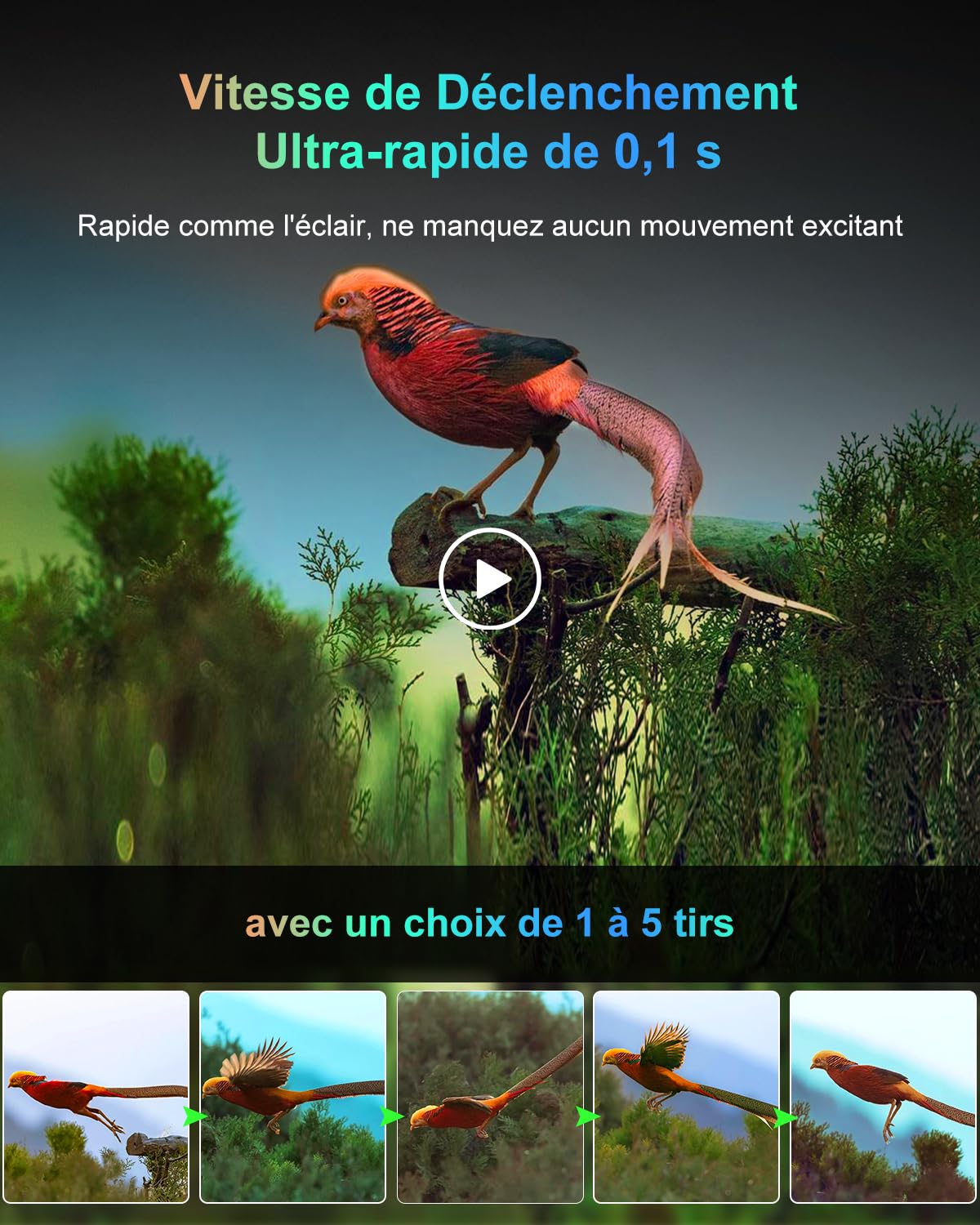 Camera de Chasse, Camera Chasse WiFi 8K 60MP, 120 ° Piege Photographique Infrarouge Détecteur de Mouvement, Vision Nocturne Caméra IR pour Animaux Sauvages avec Carte SD 32GB
