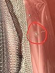 Review Image by Maple Maple