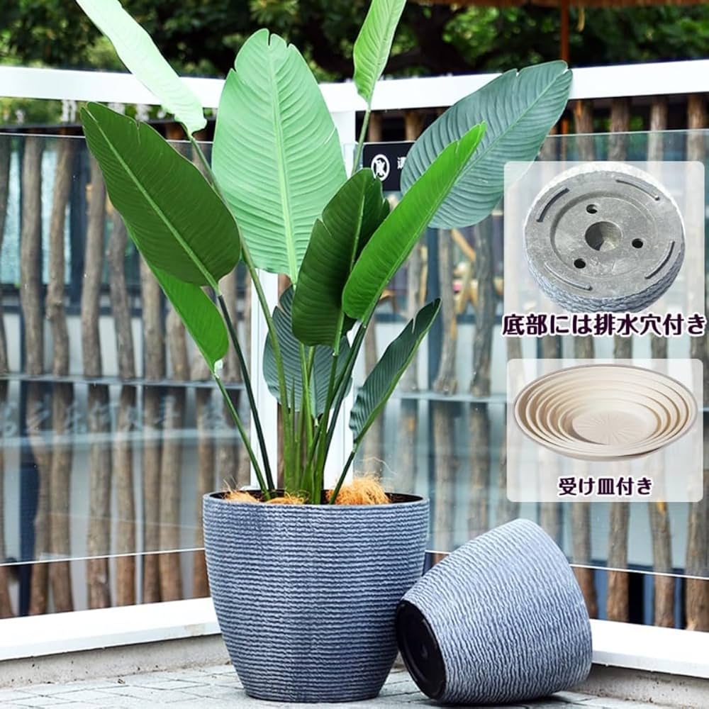 まる 中古】 Essentials 2025年最新】原付ZXの商品一覧