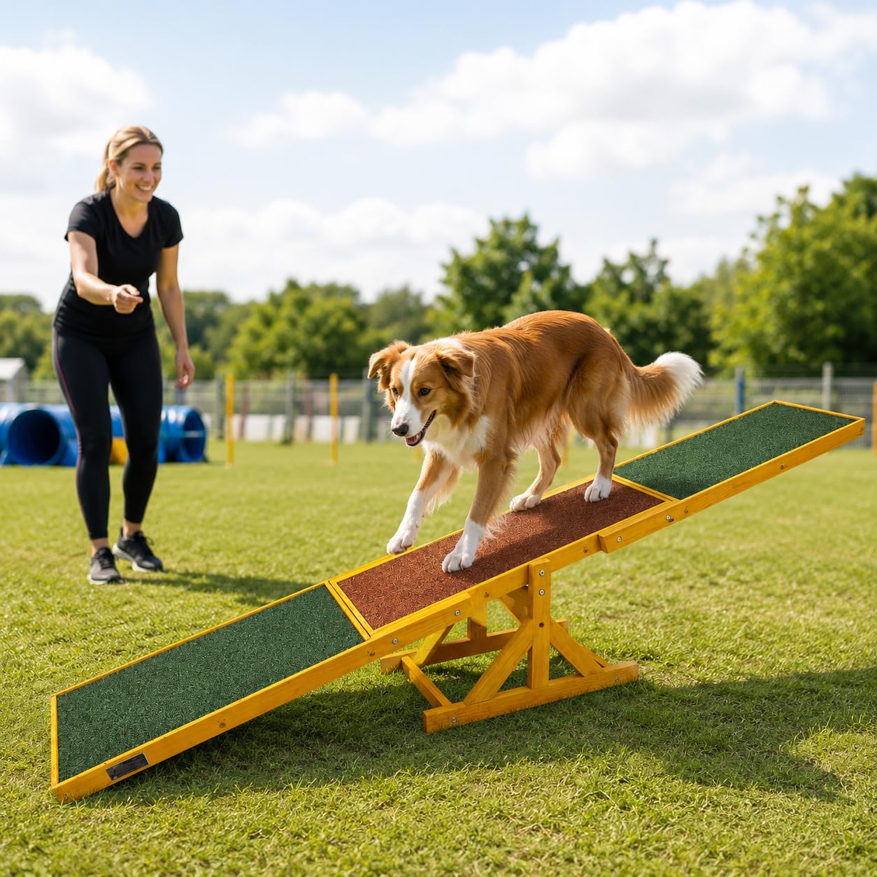 BITUXX Hundewippe Agility Wippe Hundesport Hundetraining
