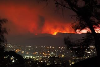 History Galore 4"x6" Gallery Poster, 2020 bushfires in Australia
