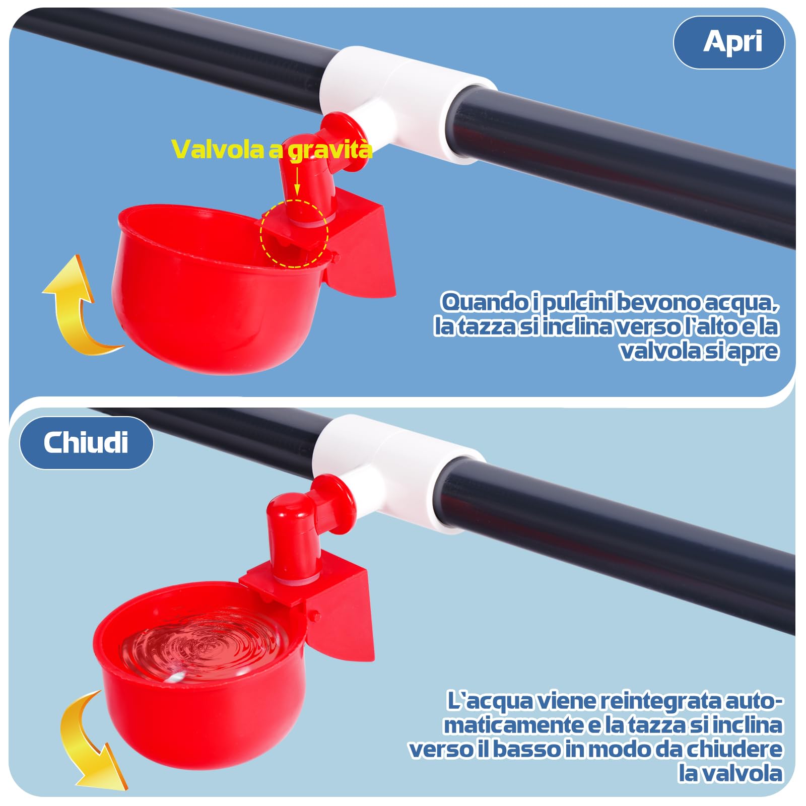 Bicchiere Automatico per Pollo, Tazza per Abbeveratoio per Polli, in PVC, con Tubo in PVC, Regolatore di Pressione per Pollame