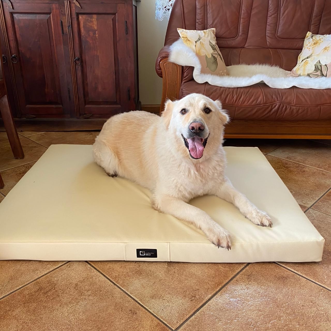 Orthopädische Matratze für Hunde Anton Grosse Mittelgroße Kleine Hunde - Hundekissen Hundebett aus Kunstleder | Hundematte Waschbar Wasserdicht Langlebig Rutschfest (XL|100x80x8cm, Cremefarben)