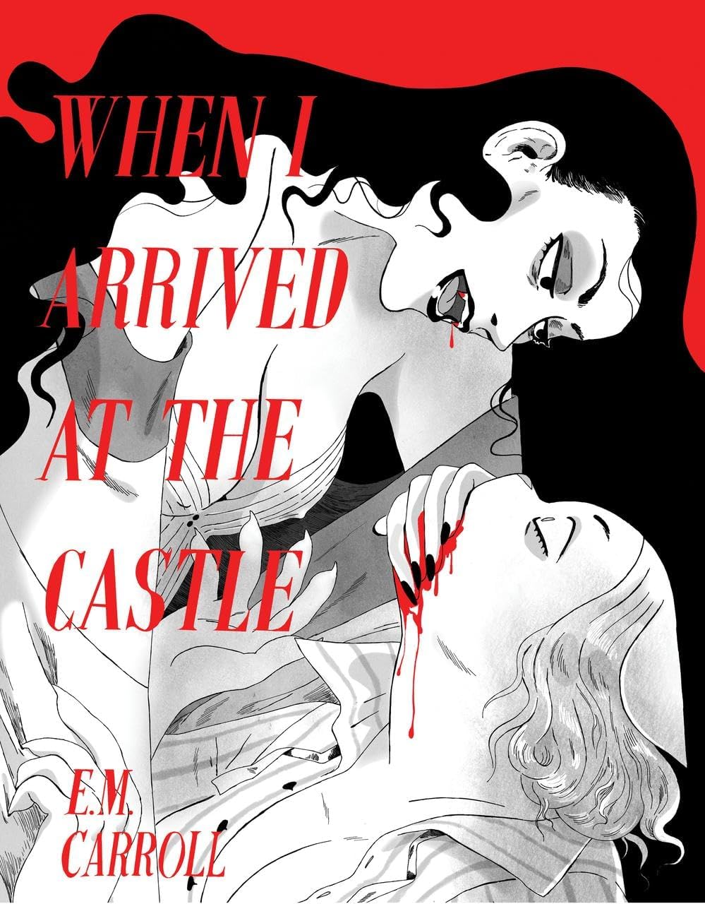 When I Arrived at The Castle