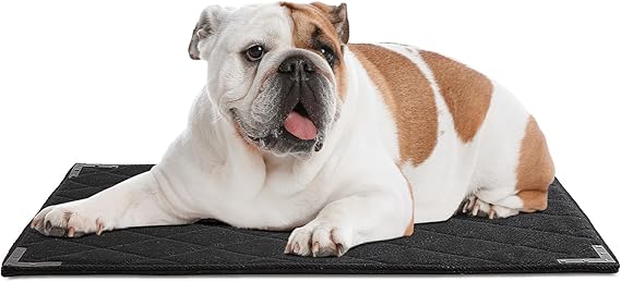 Review Durable Chew Proof Dog Bed with Metal Rivet Corner for Medium Dogs, Stable Kennel Pad Mat for Teething Puppy, Durable Indoor Outdoor Crate Pad for Medium Dog Crates, 35″x22″