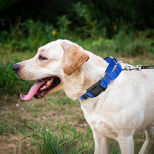 Miniatura 9 de Collares de perro Martingala reflectantes. Collar de perro con hebilla de liberación rápida. Collar ajustable de nailon transpirable acolchado suave