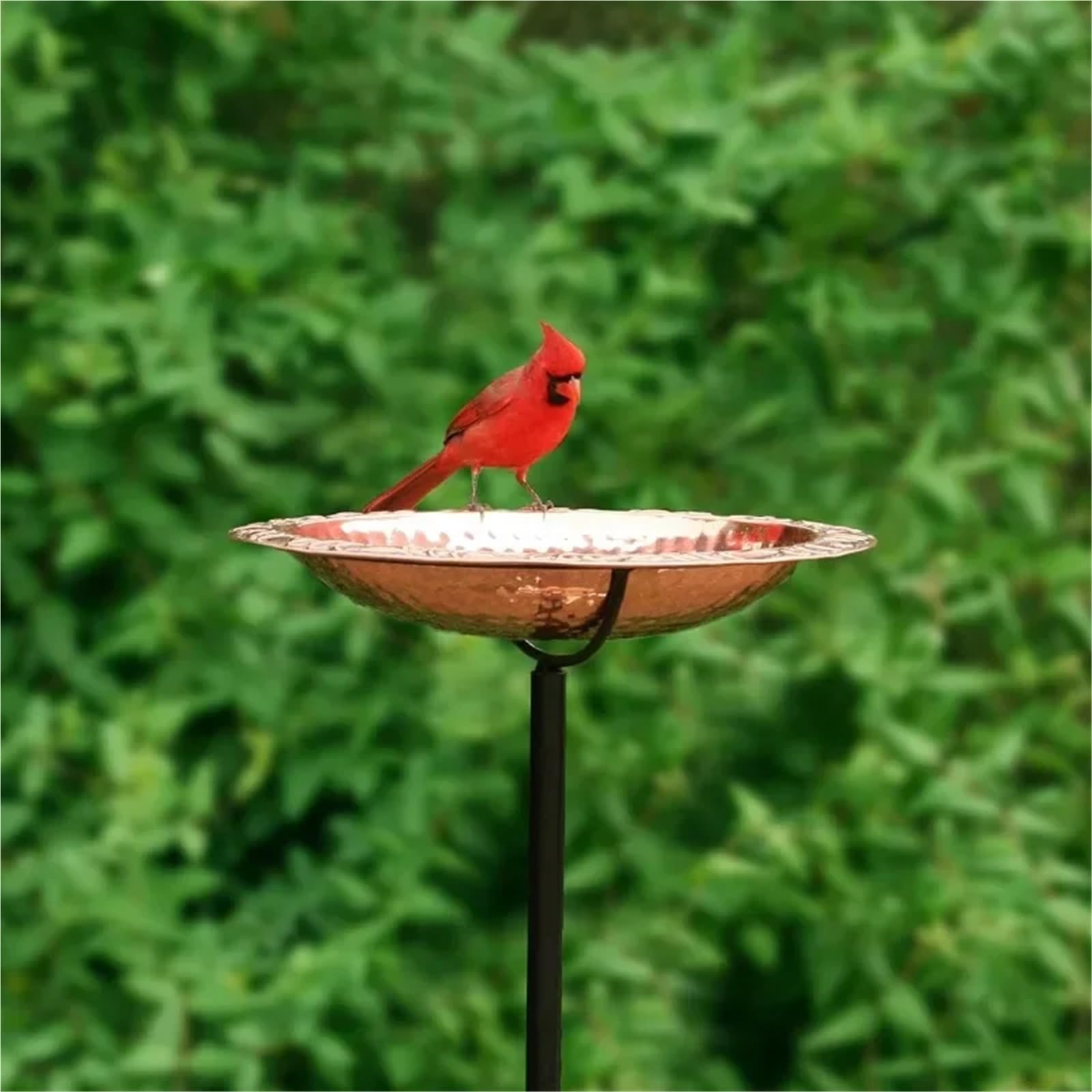 Metal Bebedero pajaros con Pie Baño for pájaros, pequeño, cobre puro(Birds)