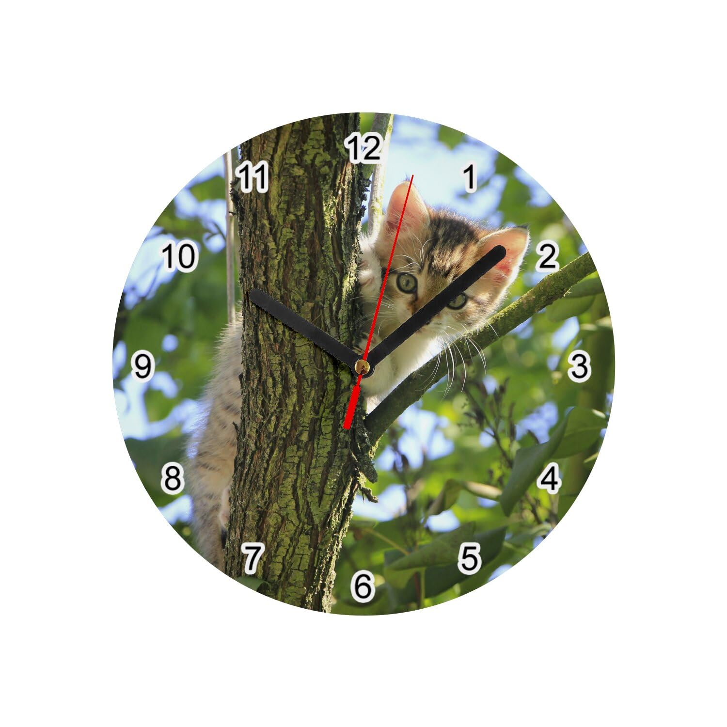 Horloge murale en verre chaton blanc cadeau idéal pour passionné d animaux et chat