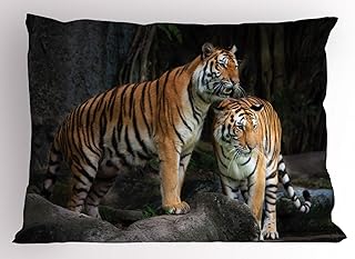 Ambesonne Animal Pillow Sham, Tiger Couple in The Jungle on Big Rocks Image Wild Cats in Nature Image Print, Decorative Standard Size Printed Pillowcase, 26