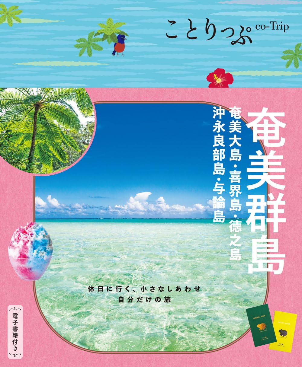 写真アルバム 奄美の昭和 プロフ必読 絶版 希少 喜界島 与論島 沖永良部島 71npLMJ8zDL.jpg
