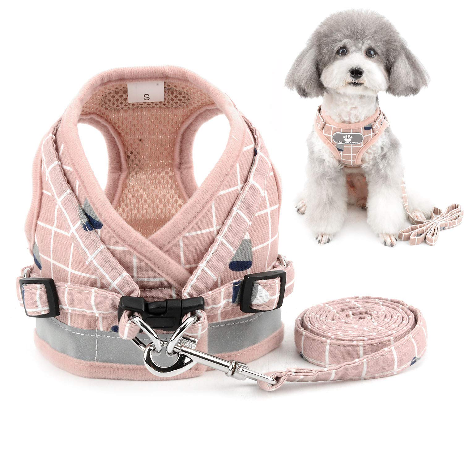 small dog harness and lead