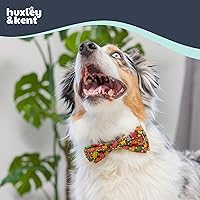 Vista 4 de Huxley & Kent Corbatín para mascotas para perros y gatos - Accesorio de collar ajustable de gancho y bucle para otoño - Lindo y cómodo para fiestas