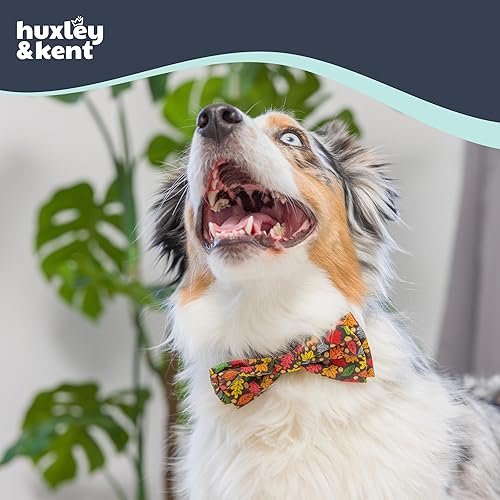 Miniatura 4 de Huxley & Kent Collar de pajarita de otoño para mascotas  Hojas y nueces (grande)  Pajaritas divertidas, bonitas, cómodas y duraderas para perros y