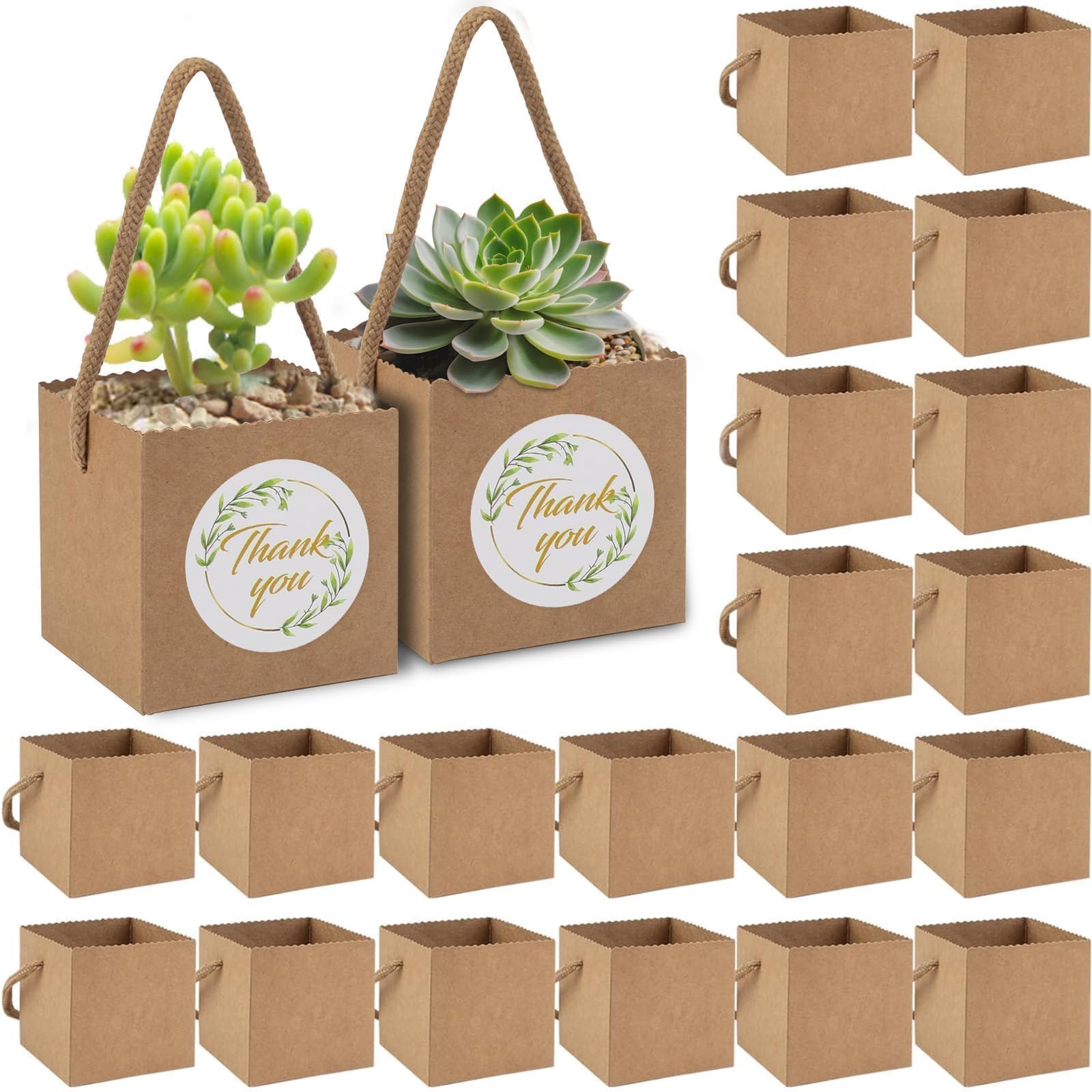 Amazon.com: Beupy 60 Pcs Succulent Wrap Bags Bulk 2.5 Inch Mini Kraft Paper  Succulent Wrap Bags with Handles & Thank You Stickers for Wedding Baby  Shower Graduation Succulent Party Favors for Guests :