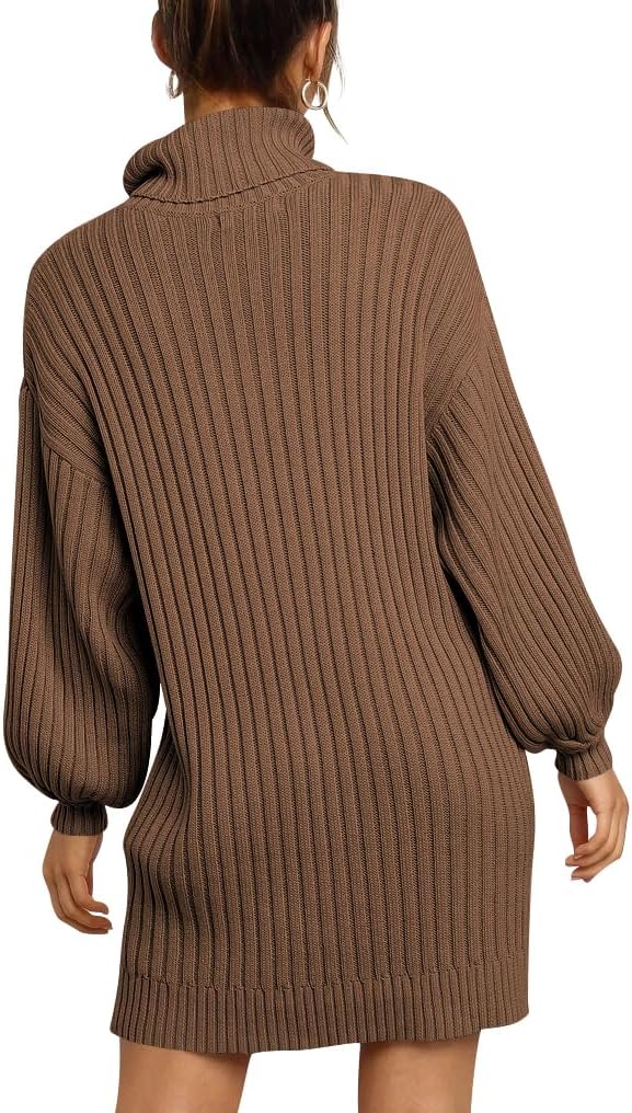 ANRABESS Women Oversized Sweater Dress Turtleneck Batwing Long Sleeve Ribbed Knit Loose 2025 Fall Winter Casual Short Dress - Image 4