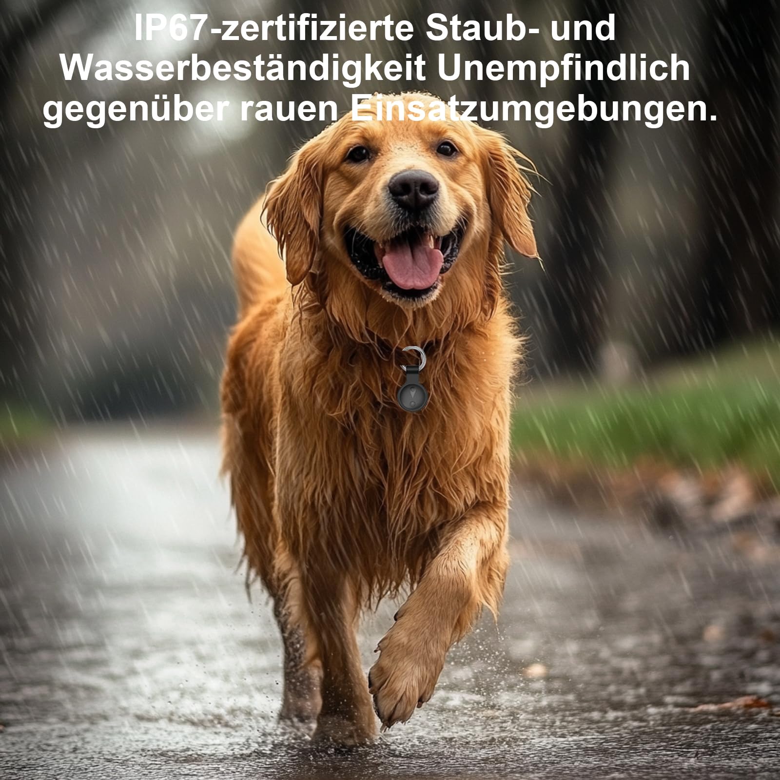Collier GPS Chat,GPS Chien Compatible avec Les Systèmes iOS et Android Suivi Intelligent de La Localisation en Temps Réel Longue Autonomie Collier GPS pour Chien Traceur pour Animaux étanche-Noir Mat