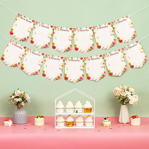 Miniatura 3 de Cartel hawaiano de 1er cumpleaños para niñas, cartel de Aloha para bebés de recién nacido a 12 meses, accesorio de fotos mensual con temática