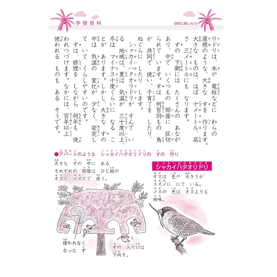大人の楽習 61alwBmAOqL._AC_SY200_QL15_.jpg